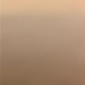 Meet your Posher, Ann